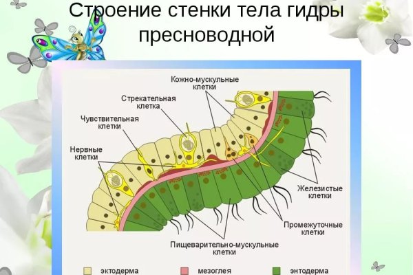 Мега официальный сайт дракнет