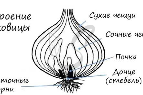 Мега ссылка на площадку